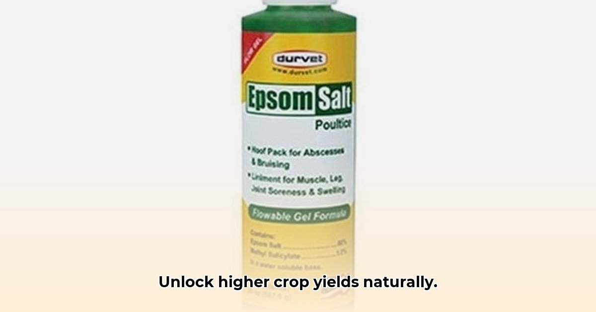 epsom-salt-tractor-supply